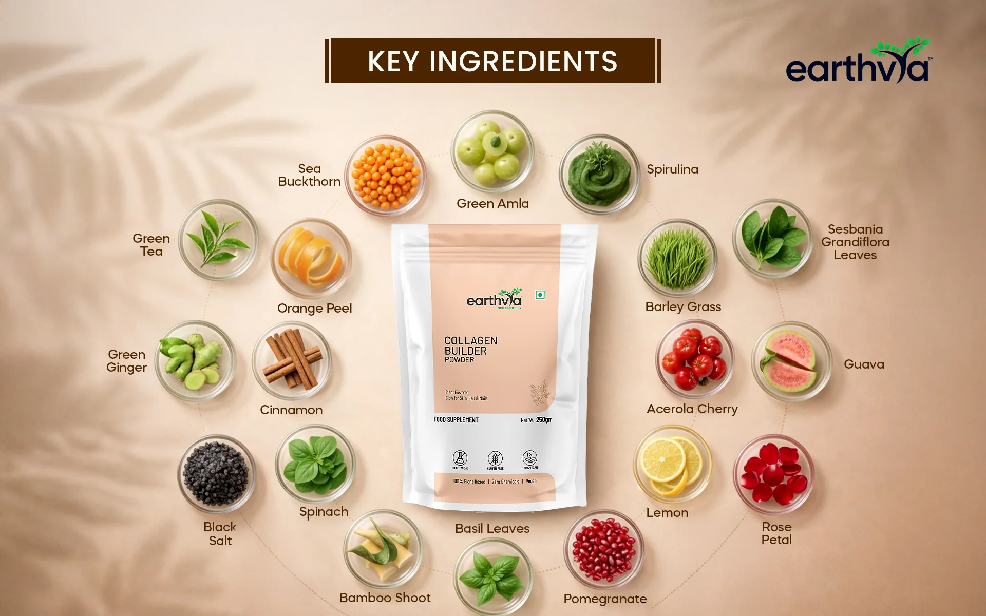 Earthvya natural superfood collagen builder pouch packaging design